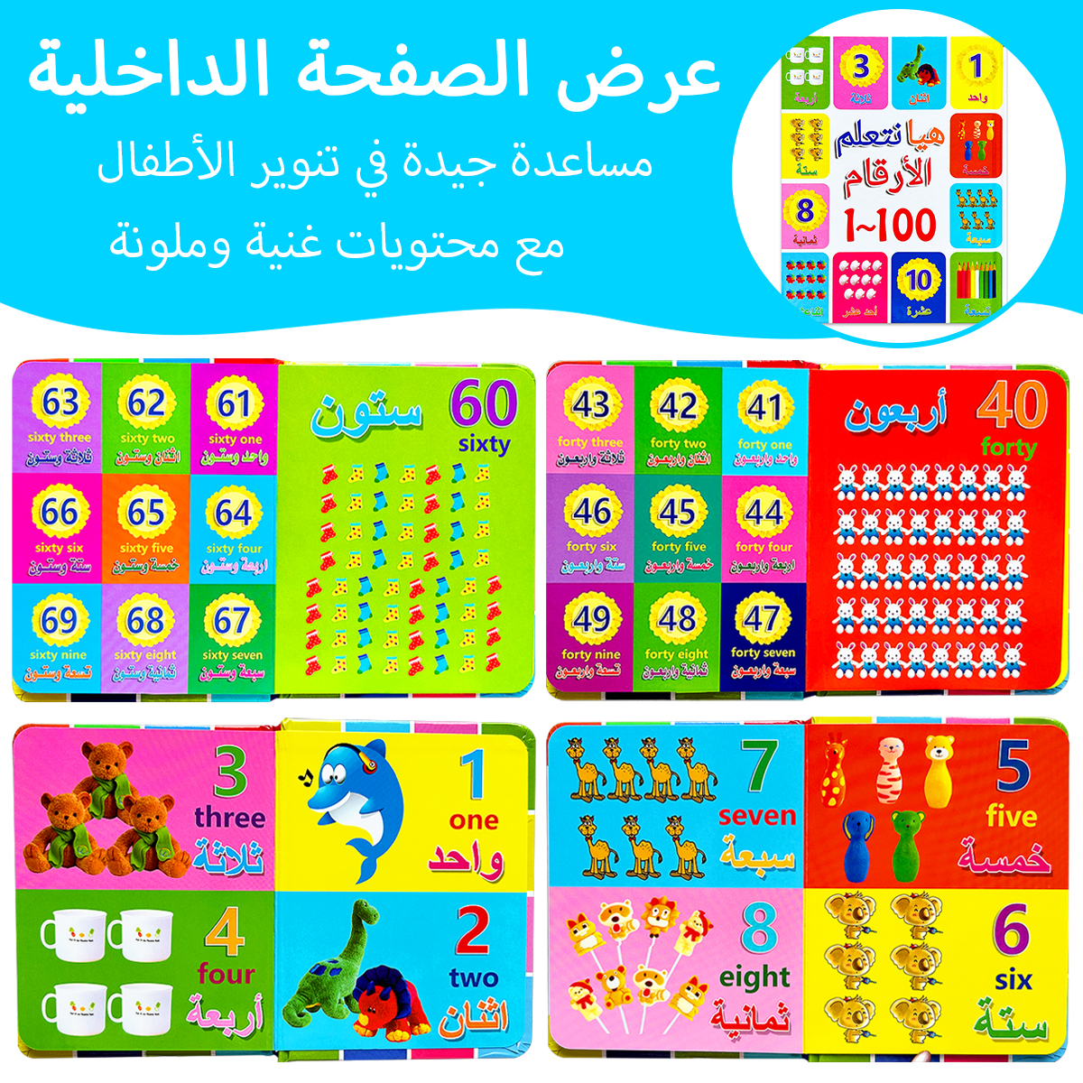 Colorful Bilingual Arabic And  - Educational Flash Card review and price