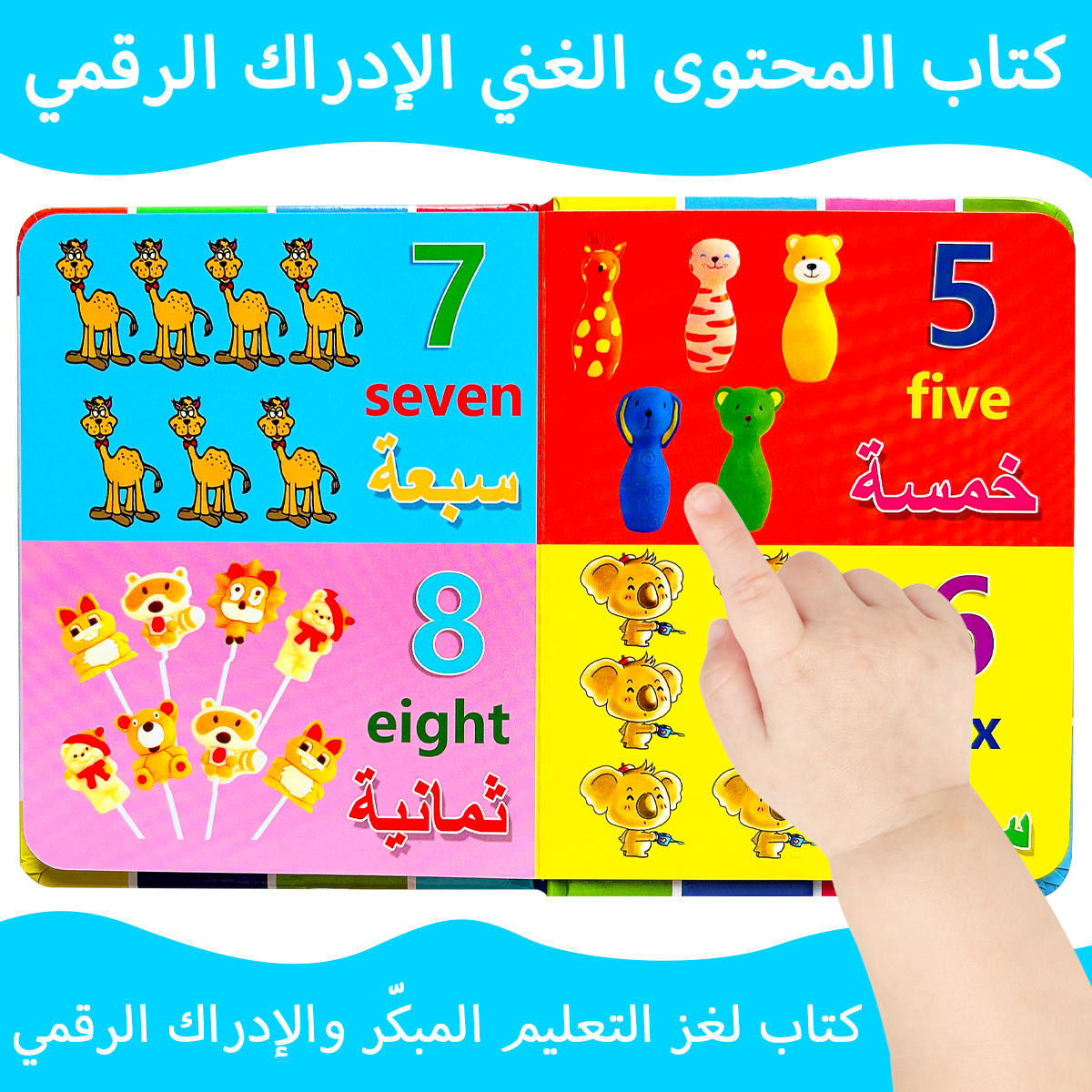 Colorful Bilingual Arabic And  - Educational Flash Card review and price