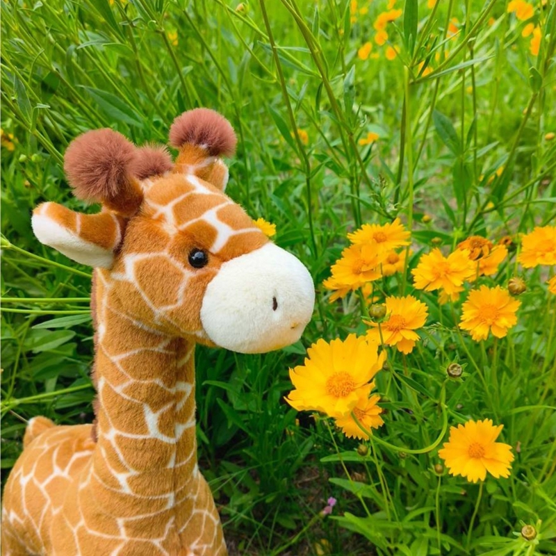 Very Soft Giraffe Plush Toy Fo - Kids Toys Very review and price