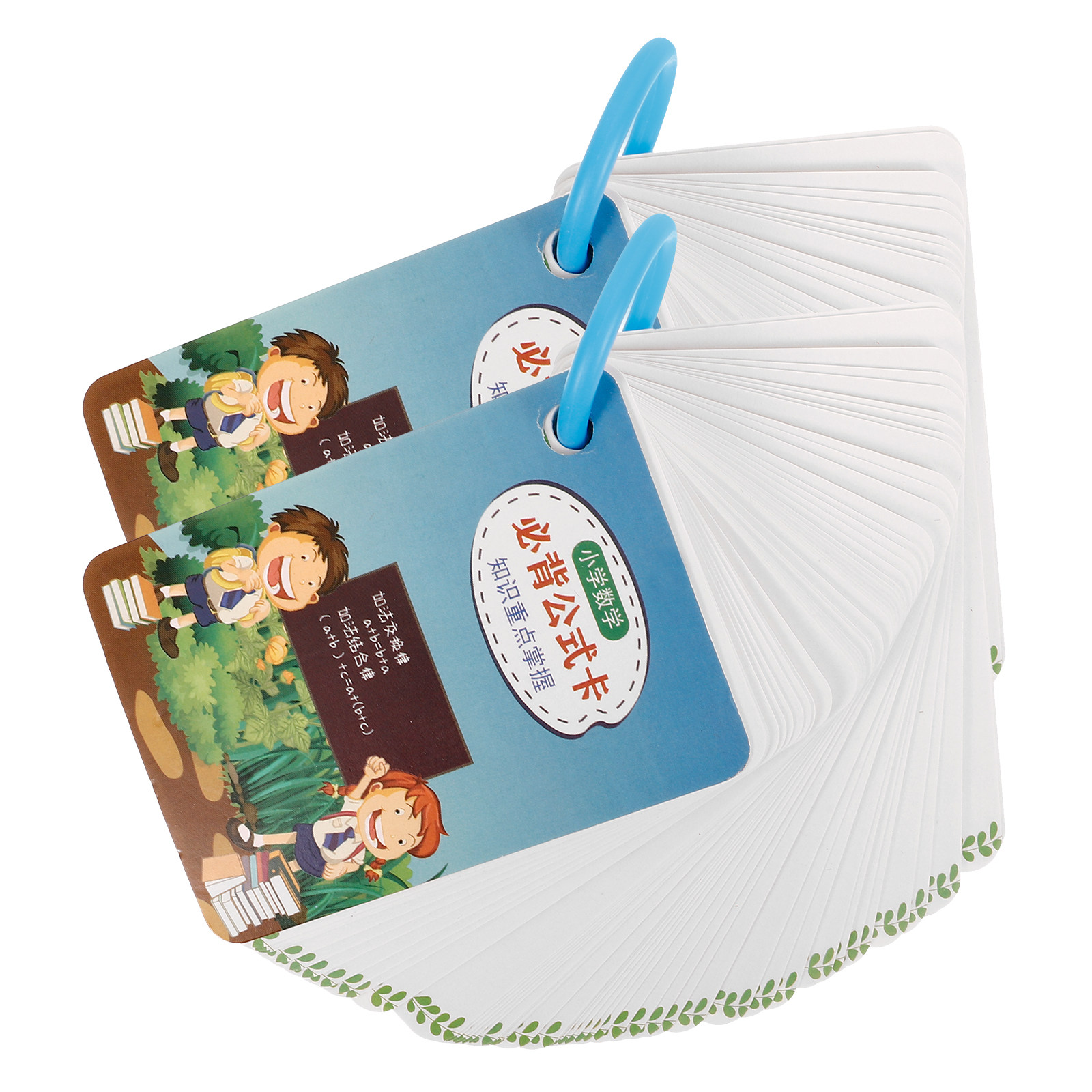 2Sets Math Formula Flash Cards - Educational Flash Card review and price