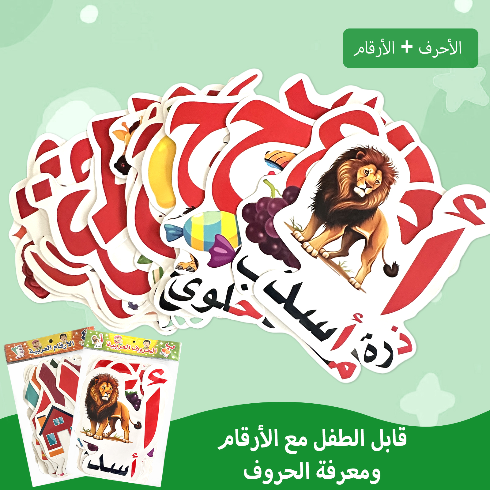 Arabic Alphabet And Number Fla - Educational Flash Card review and price