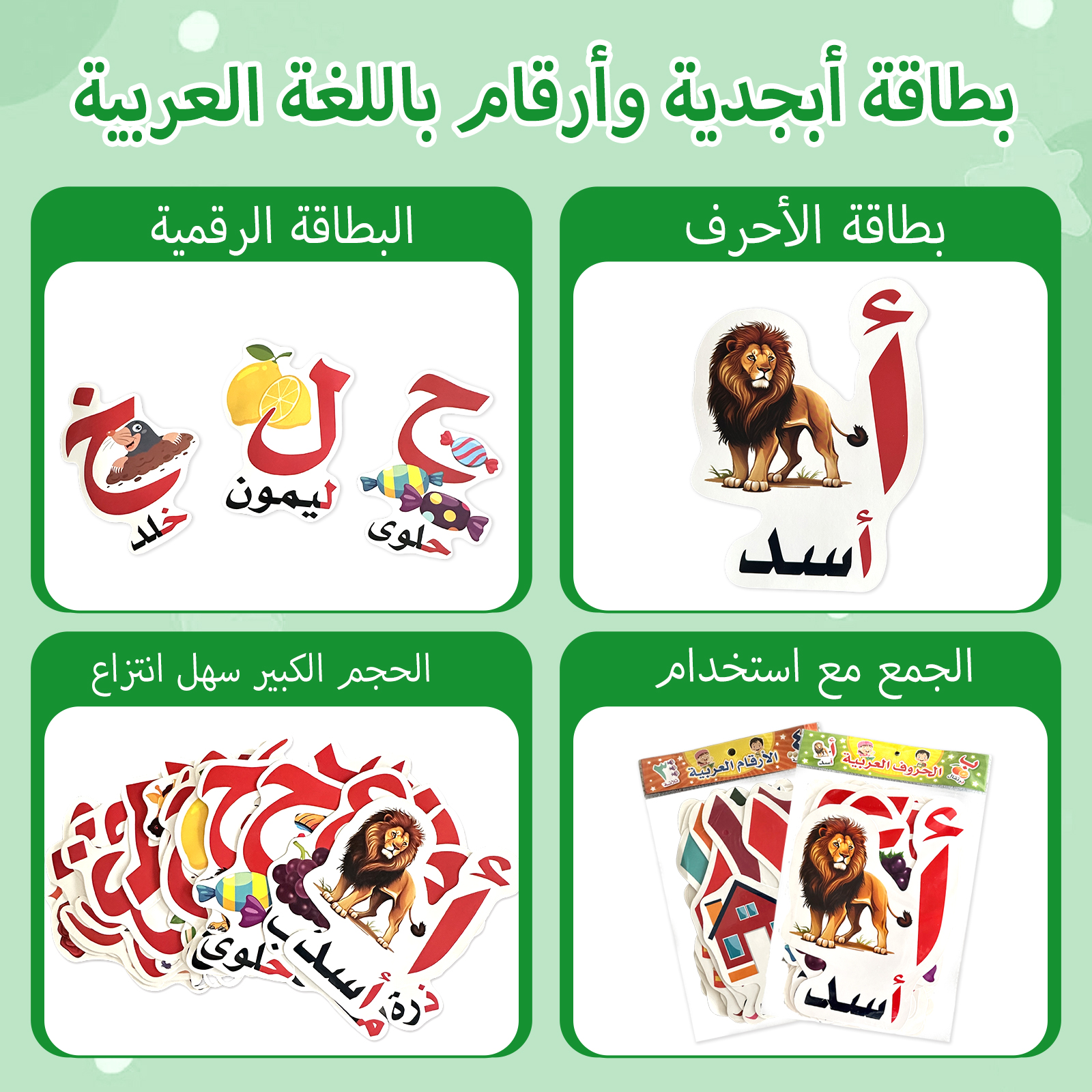 Arabic Alphabet And Number Fla - Educational Flash Card review and price