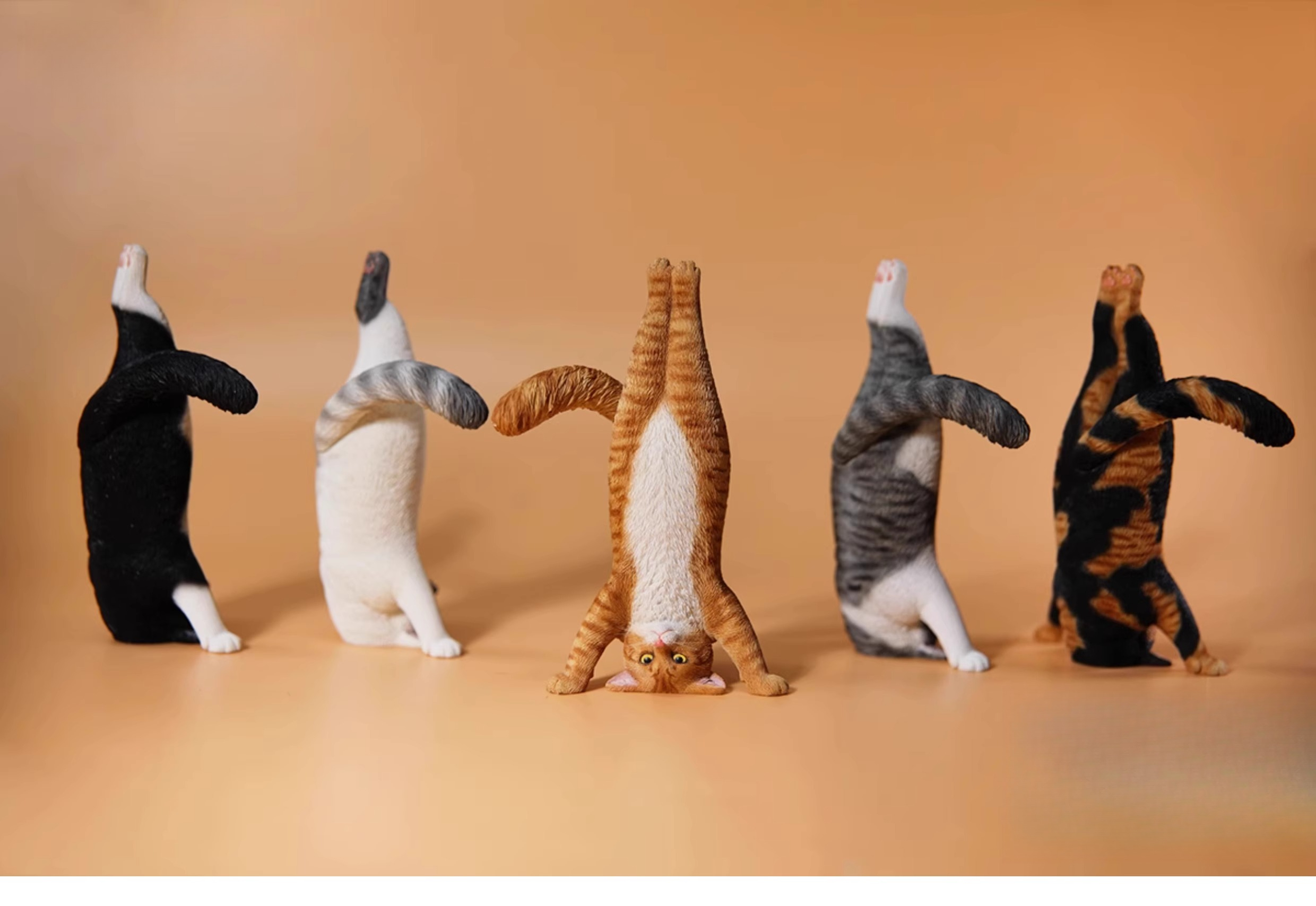 1/6 Scale Mini Simulated Fitne - Kids Yoga Toys review and price