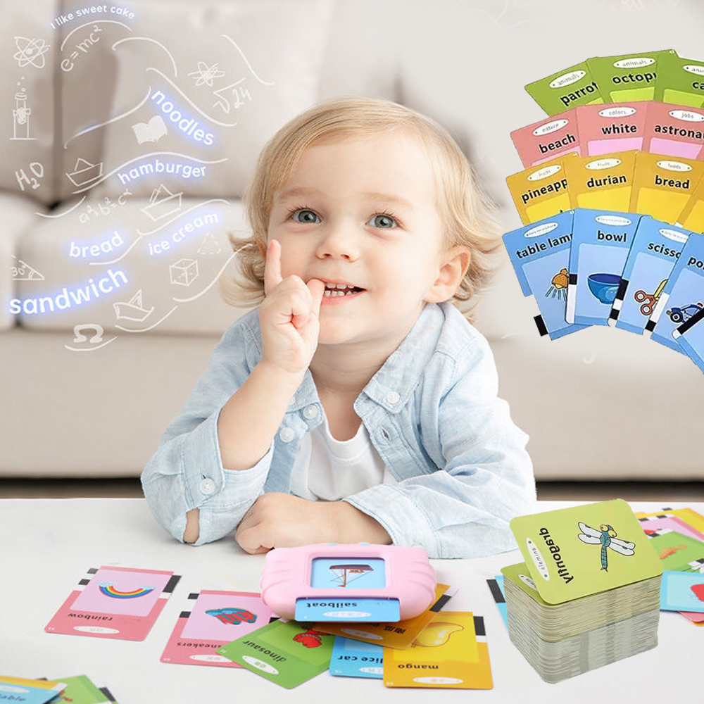 Early Education Flash Card Lea - Educational Flash Card review and price